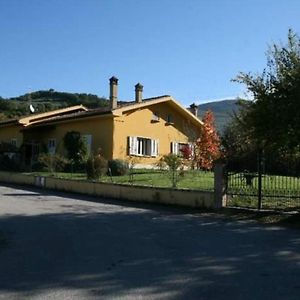 Il Rovo di More